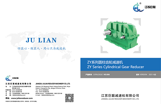 JIANGSU JULIAN ZY Contoh 2021